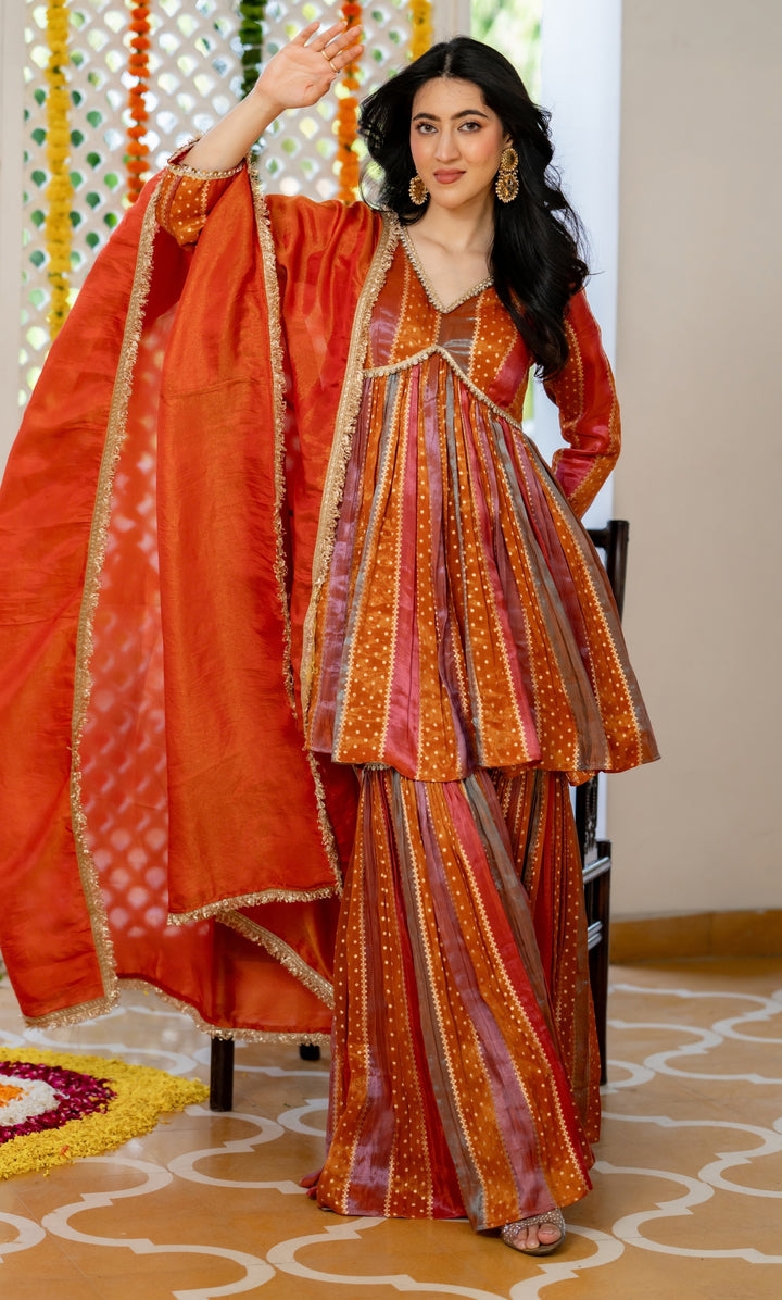 Parve Multi Color Sharara Set