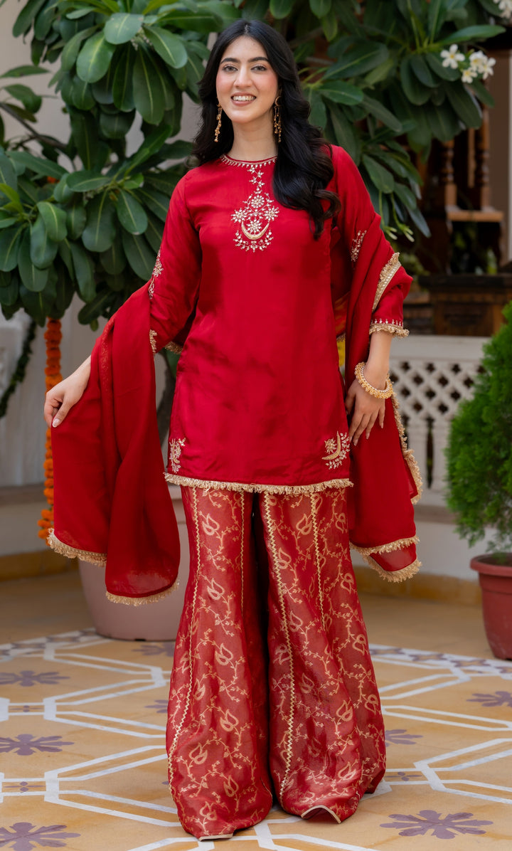 Carnation Red Handwork Suit Set