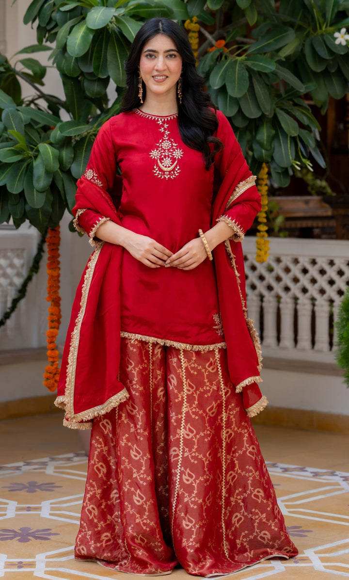 Carnation Red Handwork Suit Set