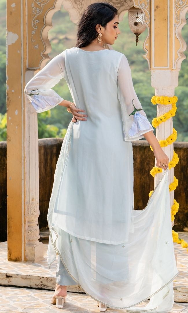 Nilofer Organza Suit Set