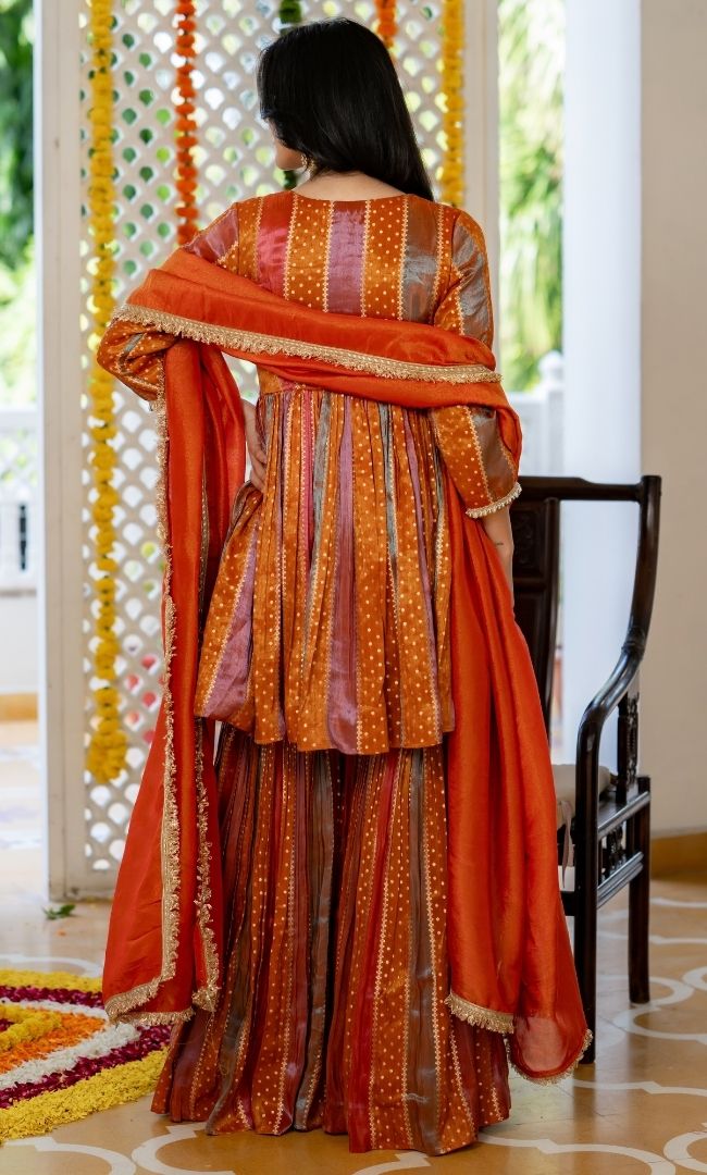 Parve Multi Color Sharara Set