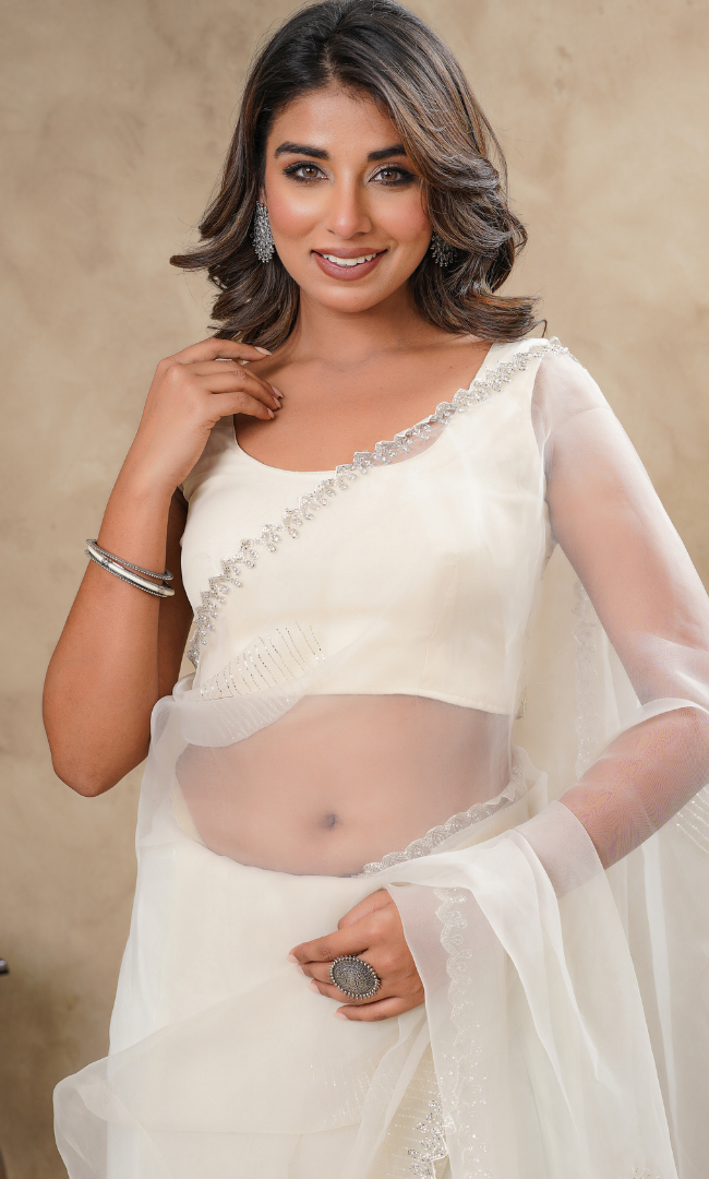 Beige Cutdana Border With Stones Saree