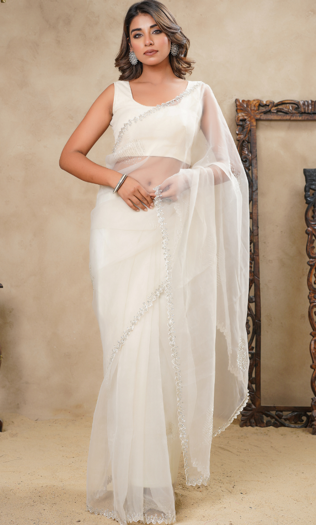 Beige Cutdana Border With Stones Saree