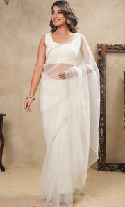 Beige Cutdana Border With Stones Saree