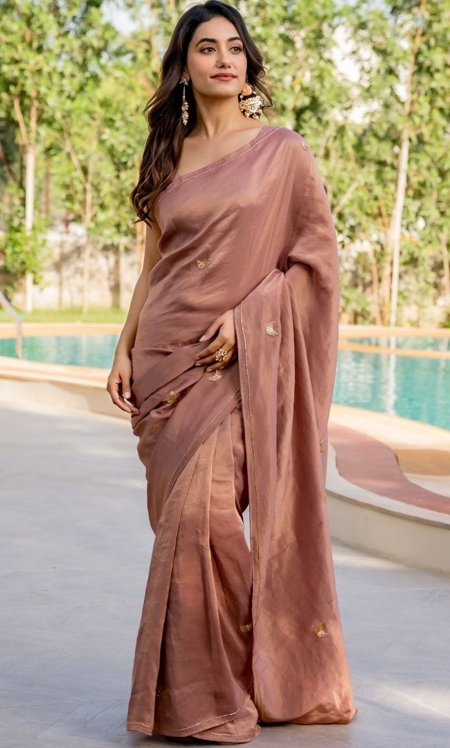 Revati Embroidered Saree