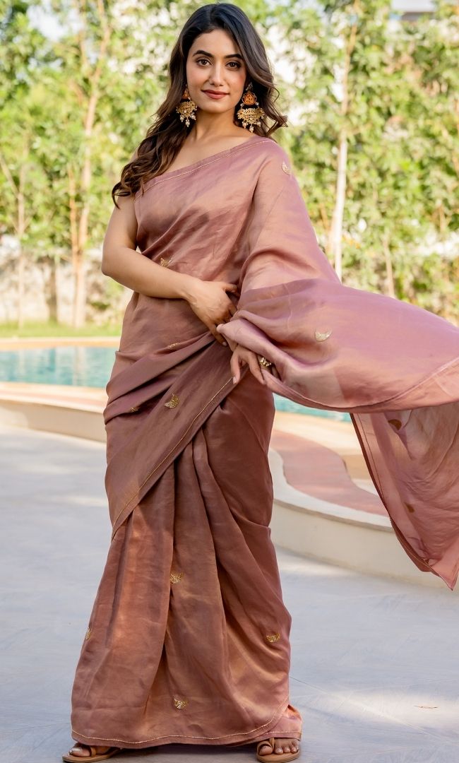 Revati Embroidered Saree