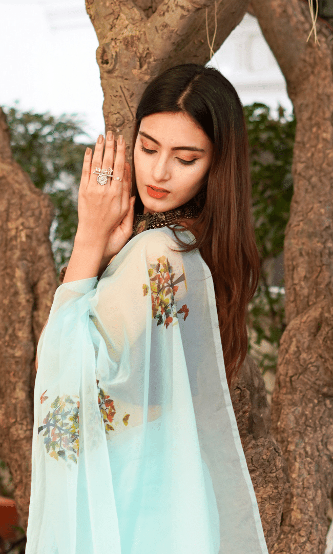 Sky Blue Organza Saree